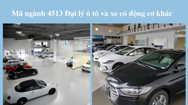 đại lý ô tô và xe có động cơ khác